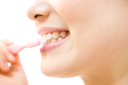 歯周病（歯槽膿漏）は予防が大事です。